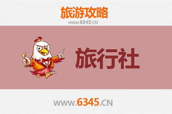 德宏芒市本地旅行社推荐：探索边陲风情的完美指南